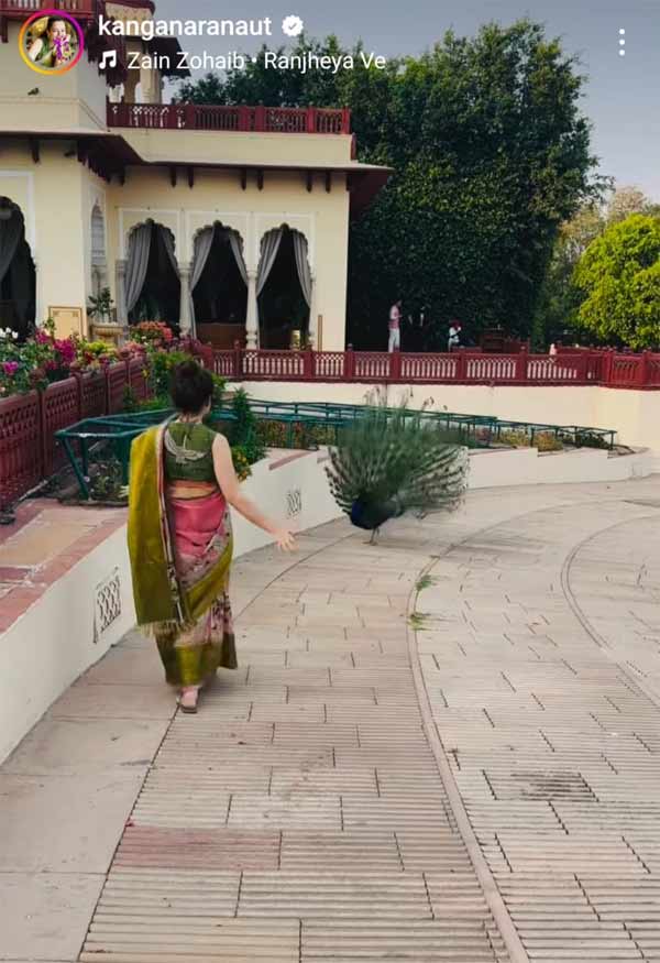 BJP mp and actress Kangana Ranaut is being trolled for sharing a video of herself to a Pakistani song