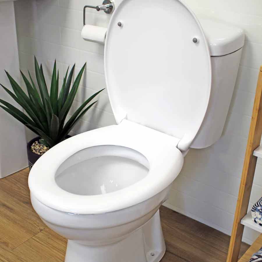 How to use salt as a natural cleaner of your commode in toilet dgtl