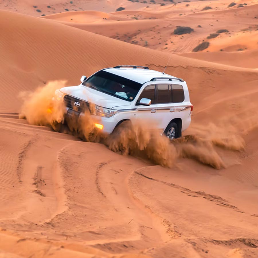 Man and woman arrested from different state over Jaisalmer car video