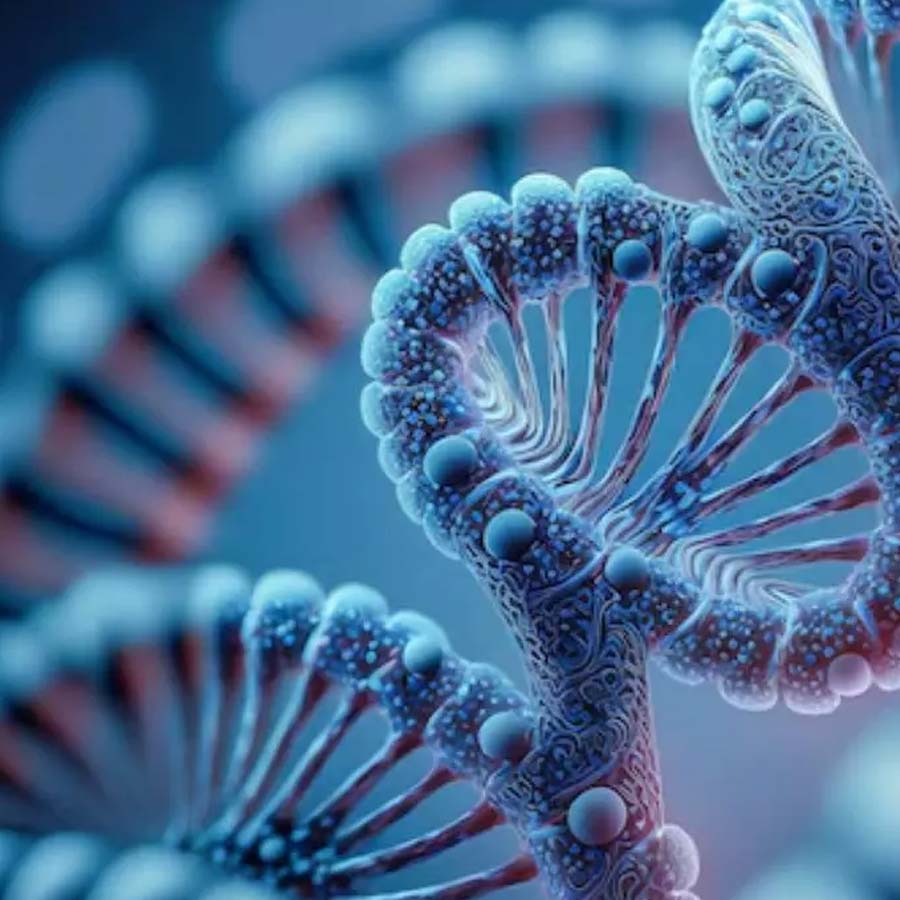 Village where Everyone is a cousin