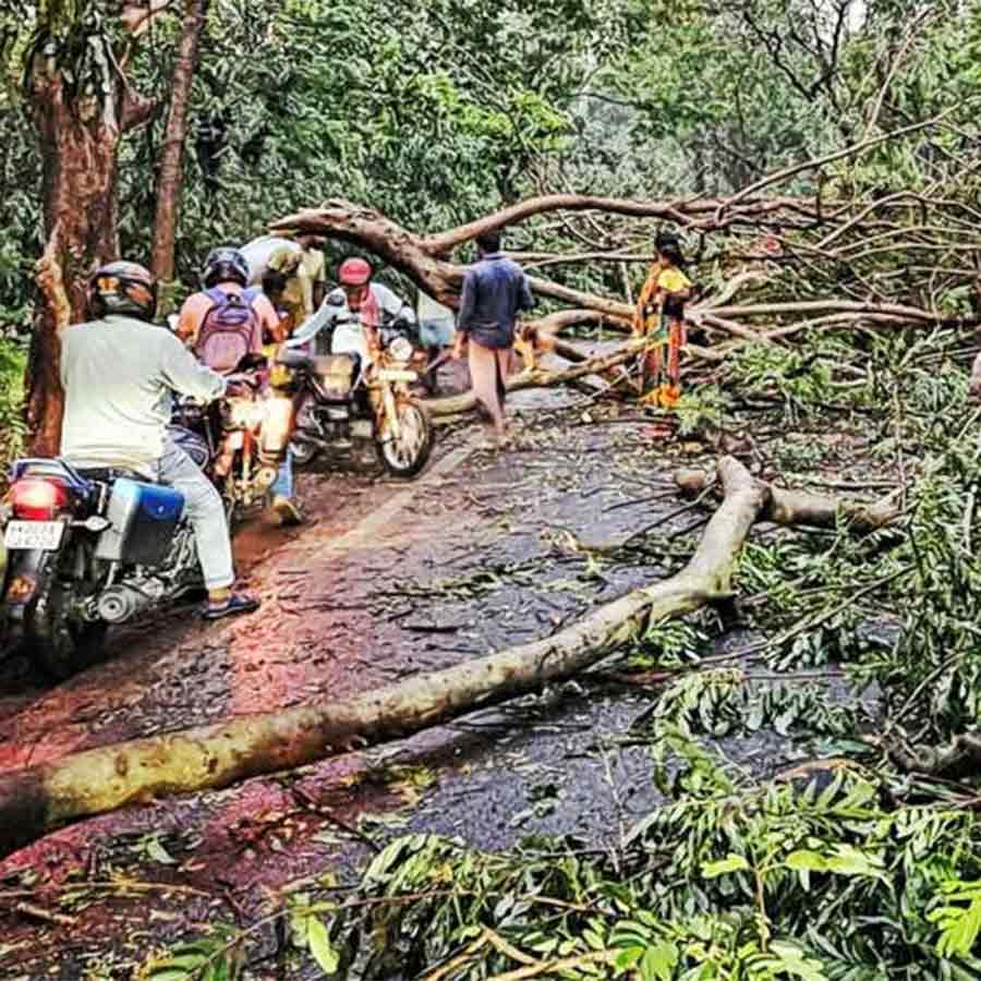 Citizens are satisfied with rainfall at Bankura, Trees fell and blocked State Highway
