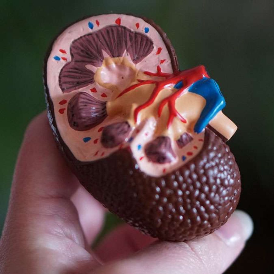 should you be more aware of signs of kidney Cancer after 40 dgtl