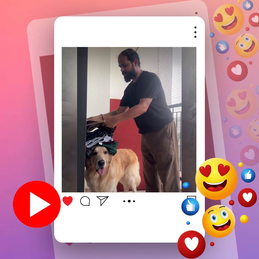 Funny video of a golden retriever dog working as a laundry assistant goes viral dgtl