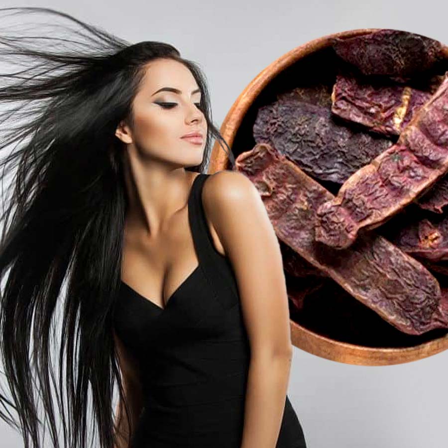 How to use Shikakai powder to get long and healthy hair dgtl