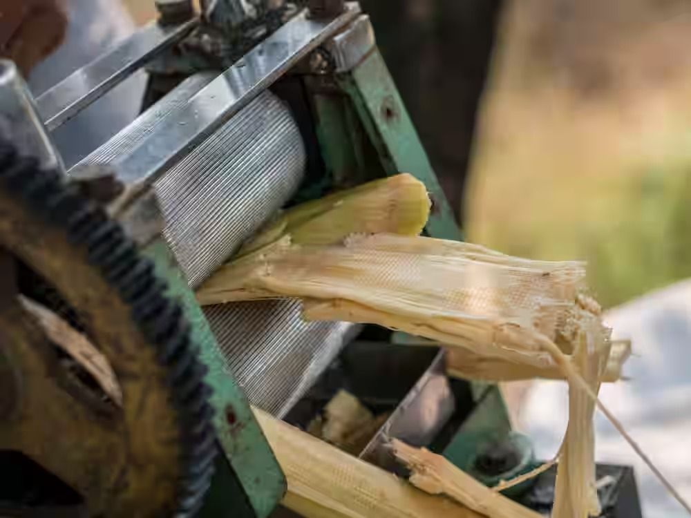 Coconut water or sugarcane juice which is more healthy and hydrating