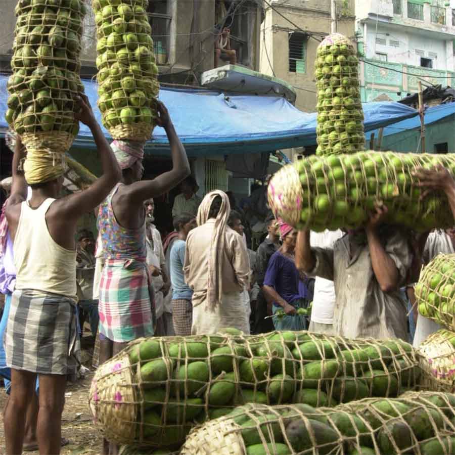 Bengalis and their emotion with mangoes