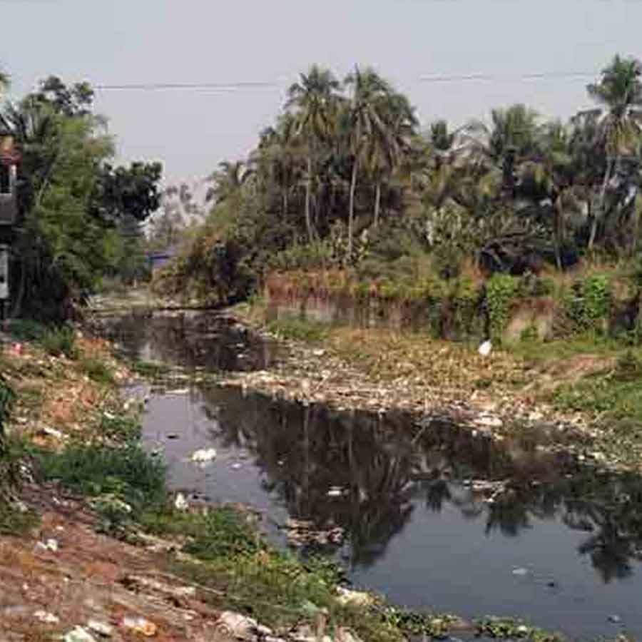Questions are being raised about whether the plan to prevent pollution of the Saraswati River is still limited to paper or not