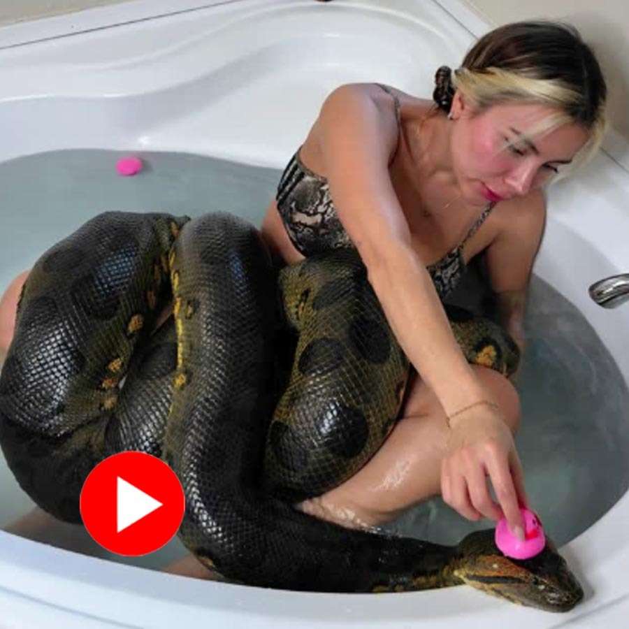 Video of a woman giving bath to a huge green anaconda shock internet dgtl