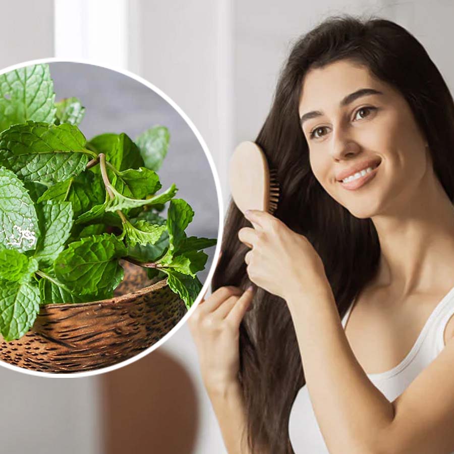 How to use Pudina leaves to reduce dandruff