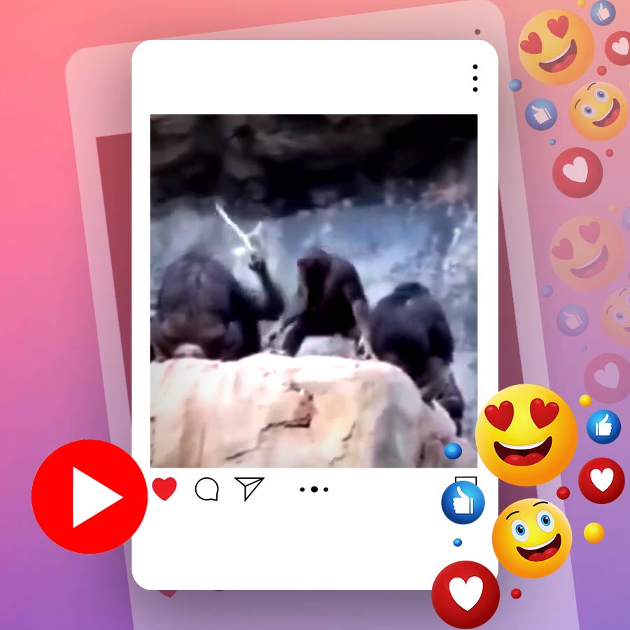 Video of mother chimpanzee scolding its son for throwing rocks at people in zoo goes viral dgtl