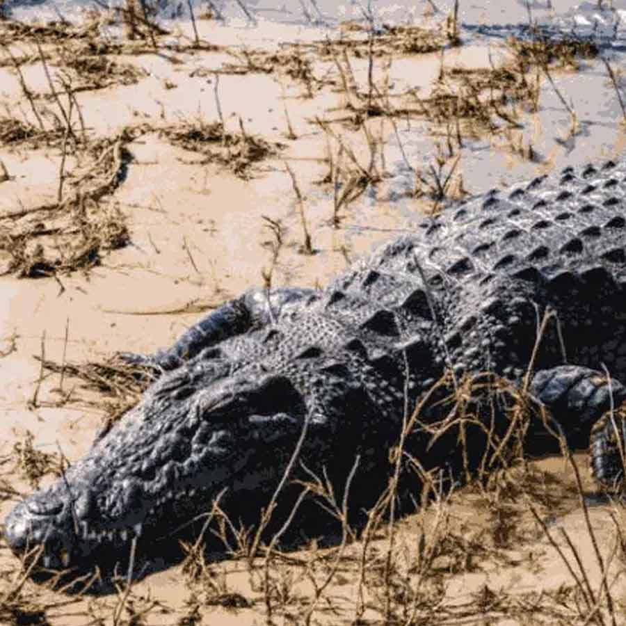 All you need to know about the battle of Ramree Island took place during second world war in the year of 1945