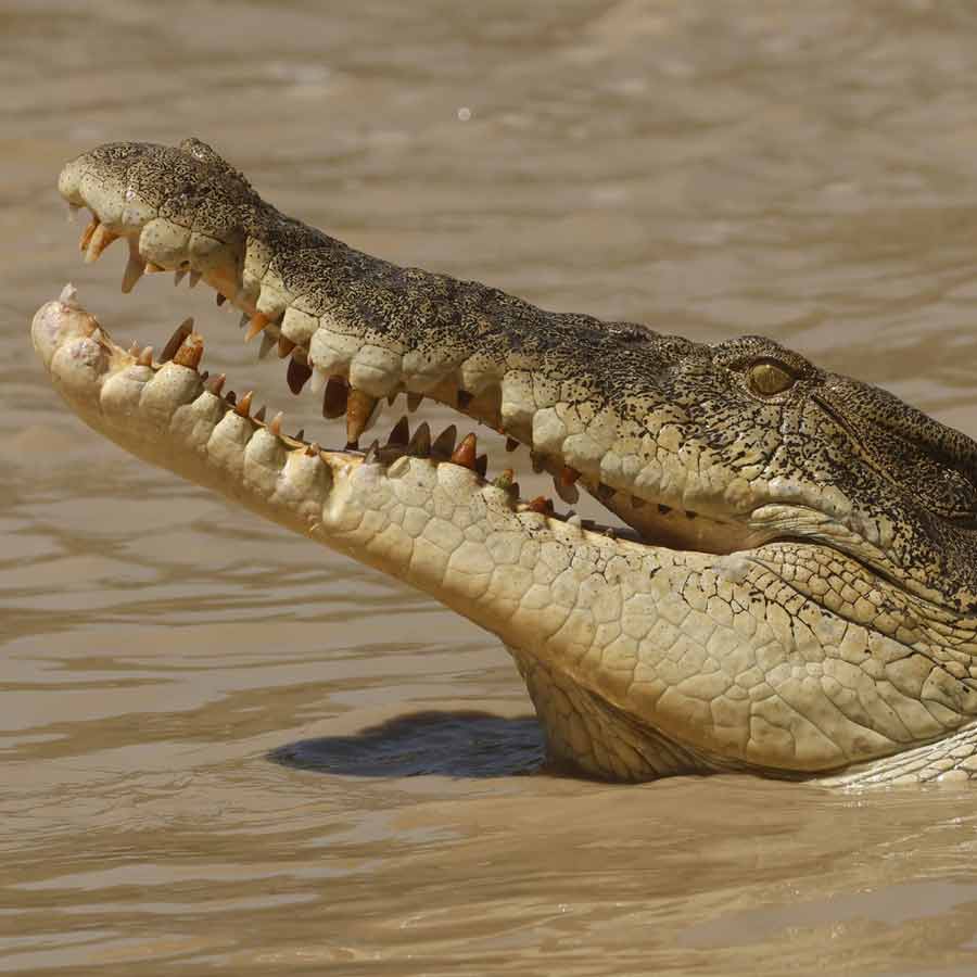 All you need to know about the battle of Ramree Island took place during second world war in the year of 1945