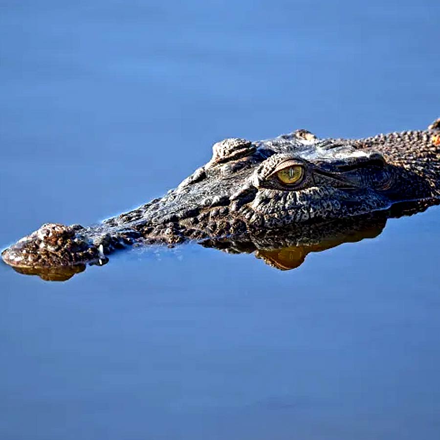 All you need to know about the battle of Ramree Island took place during second world war in the year of 1945