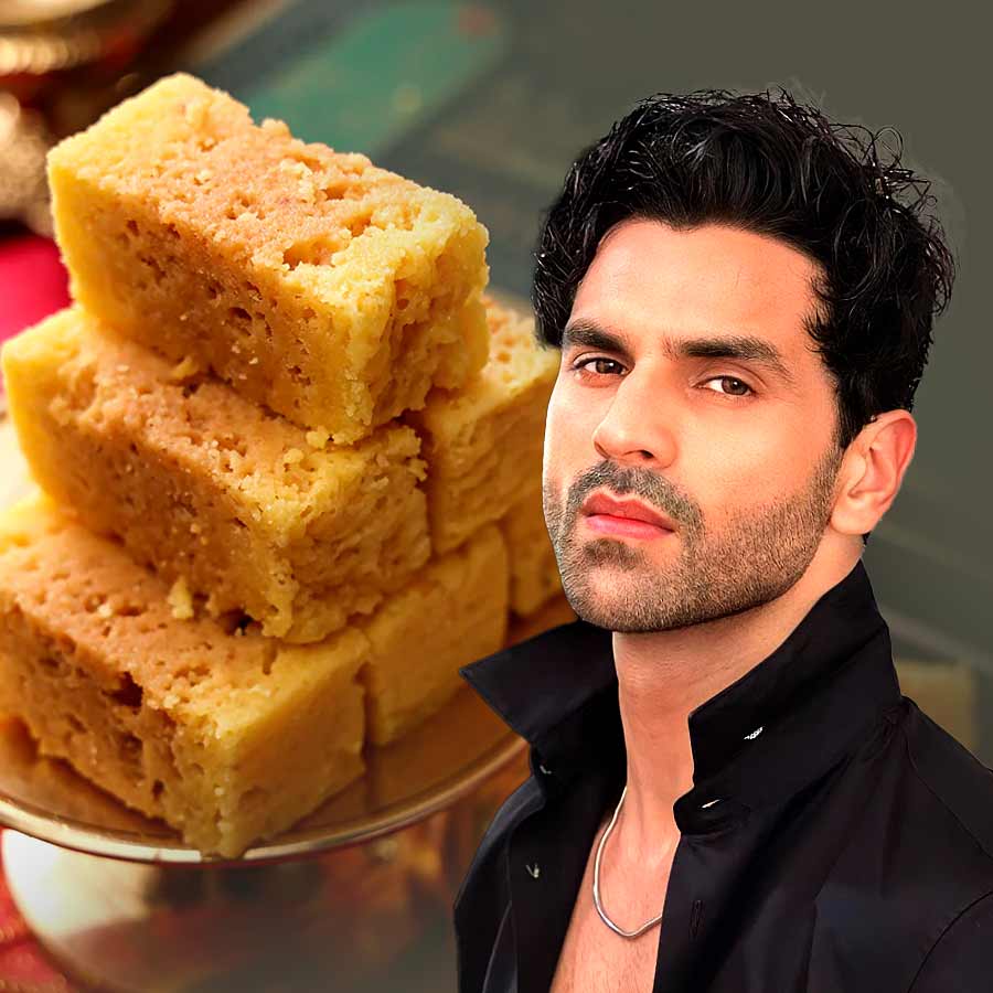 Actor Vivek Dahiya opens up what has happened after having two boxes dgtl
