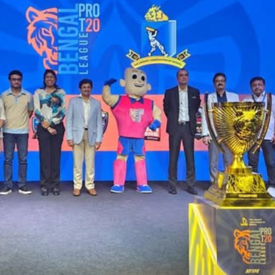 picture of cricket