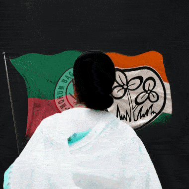 what will be the role of west bengal cm mamata banerjee in mohun bagan election