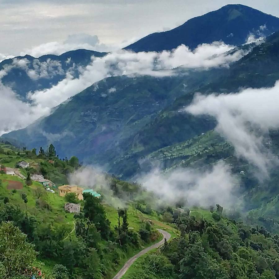 তালিকায় রাখতে পারেন প্যাংগটও।