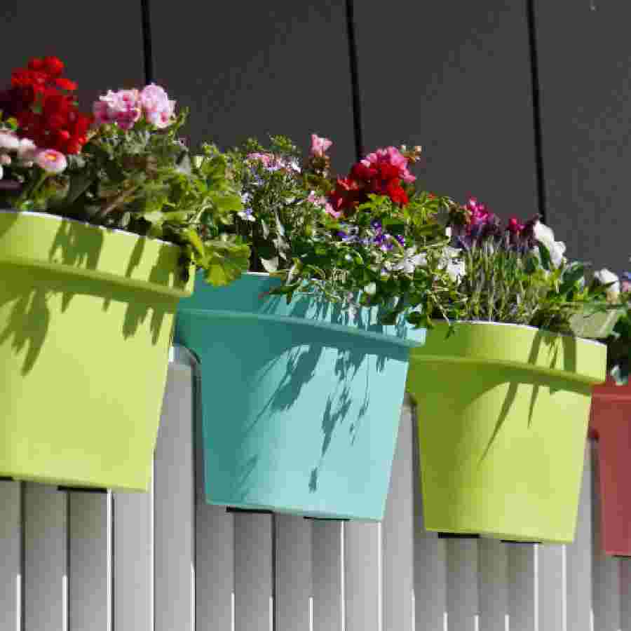 How to create garden in your low light balcony dgtl