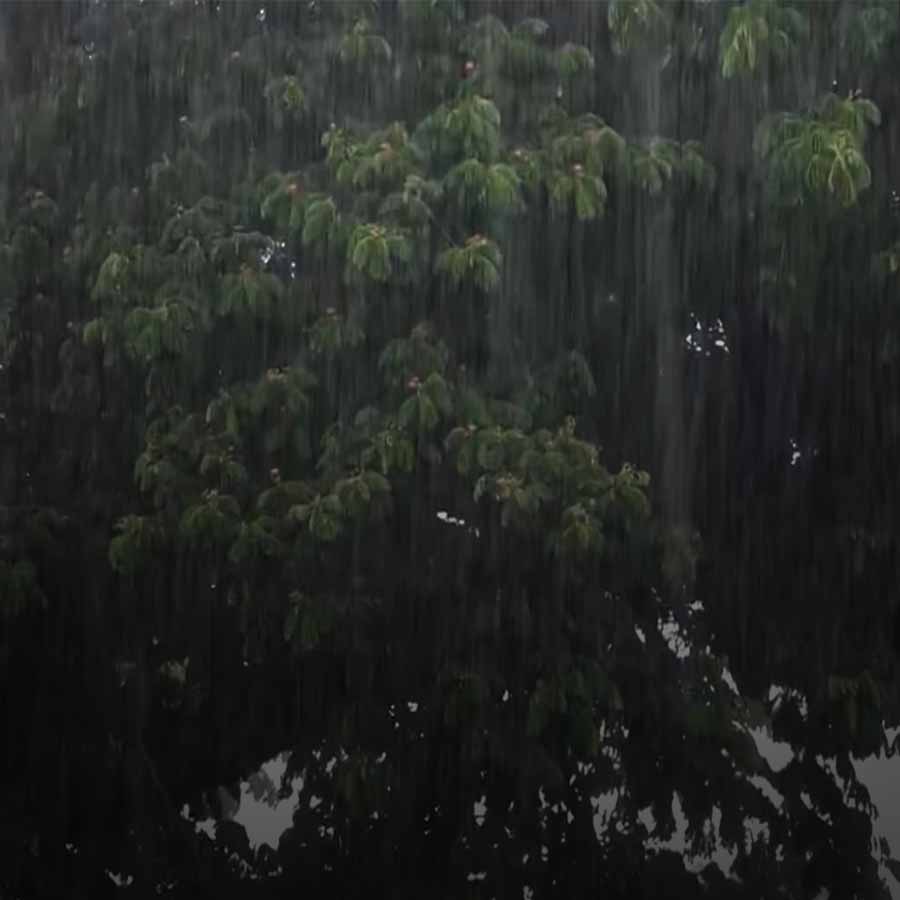 Southwest Monsoon Set to Hit Kerala Early; Heavy Rain Alert in 12 States for Next 3 Days dgtl