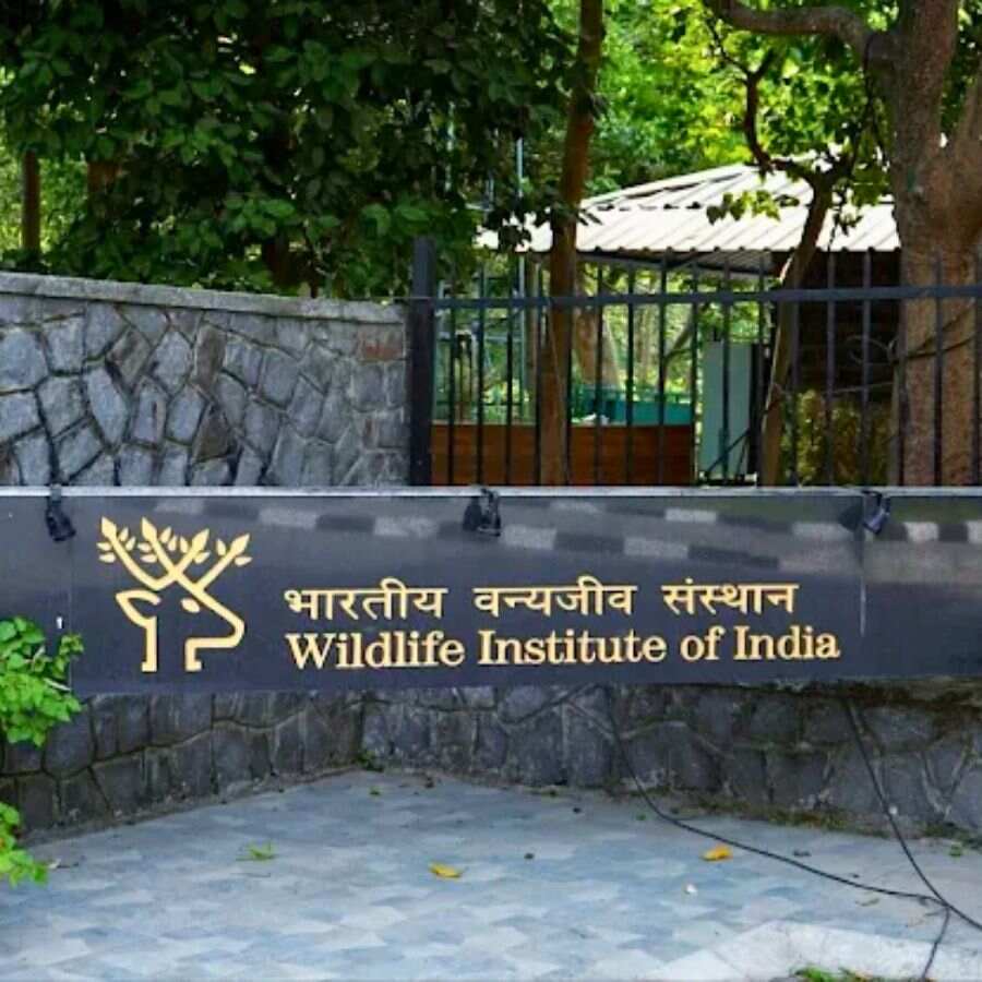 Wildlife Institute of India.