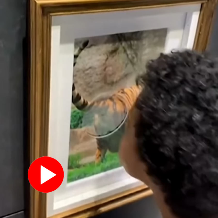 Video of Japanese Museum allowing visitors to smell animal butt