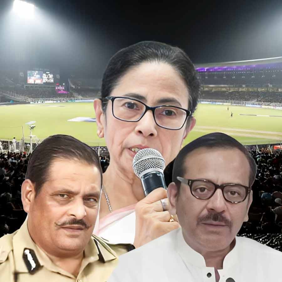 cricket