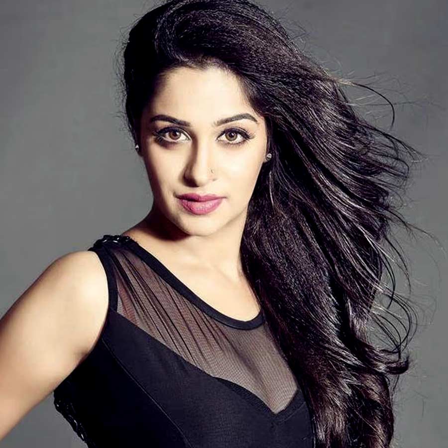 Dipika Kakar Ibrahim Tumour Surgery Delayed Due to her high fever