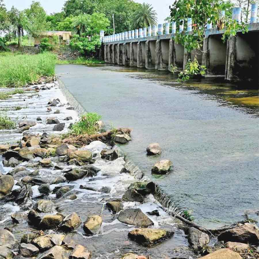 Water of Kopai river to be sent for testing