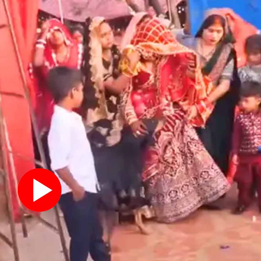 Video shows pet dog trying to stop bride while leaving house