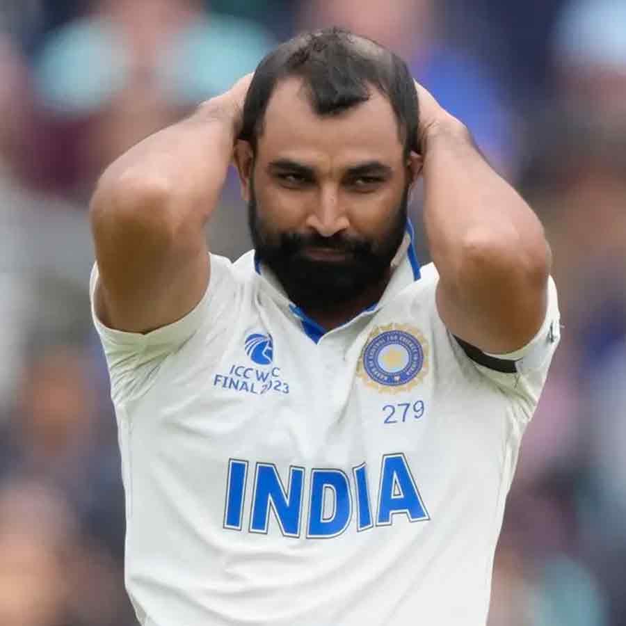 cricket