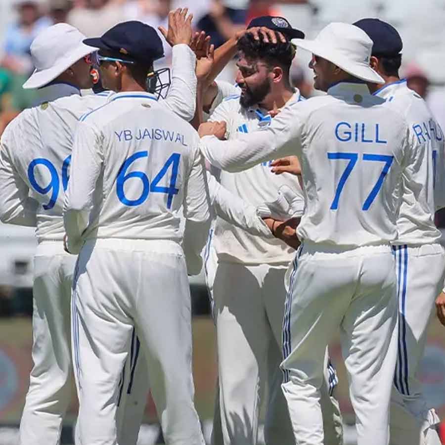 cricket