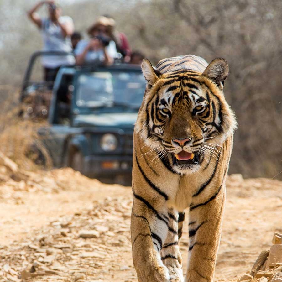 5 National parks you can visit with your kids during summer vacation dgtl