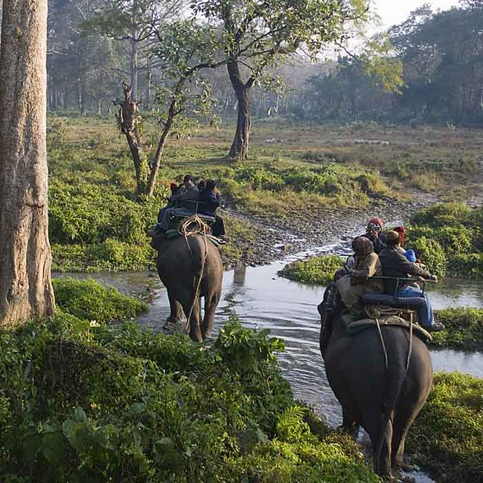 এই জাতীয় উদ্যান ঘোরা যায় হাতির পিঠে চেপেও।