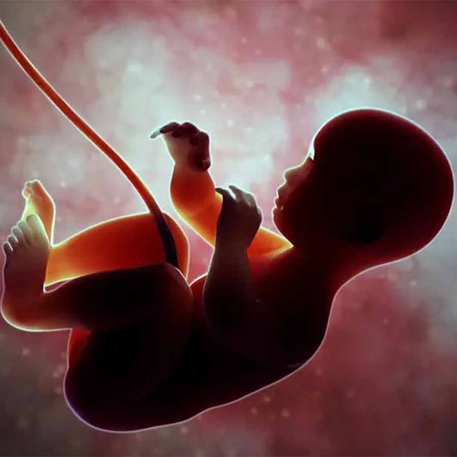The research paper on the amniotic sac was published in the journal