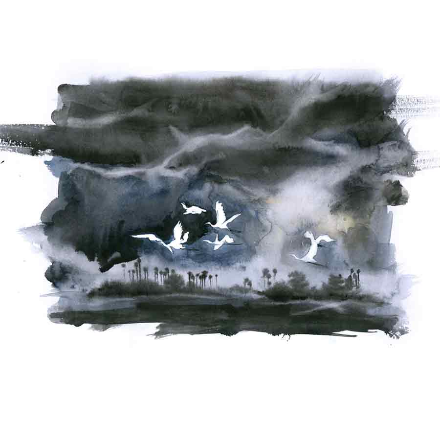 ছবি: কুনাল বর্মণ।