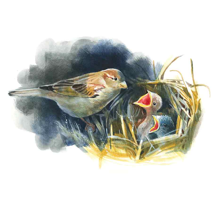 Bengali Short Story authored by Souvik Chatterjee
