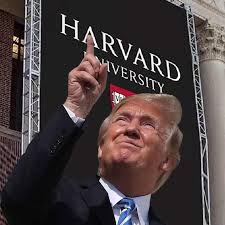 US President Donald Trump attacks Harvard again, defends ban on enrolment of foreign students