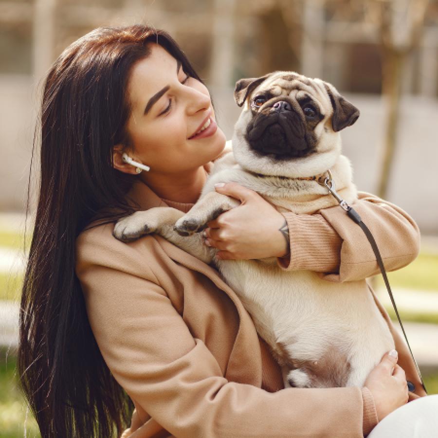 Pet dog pain or sadness is real or fake how to understand dgtl