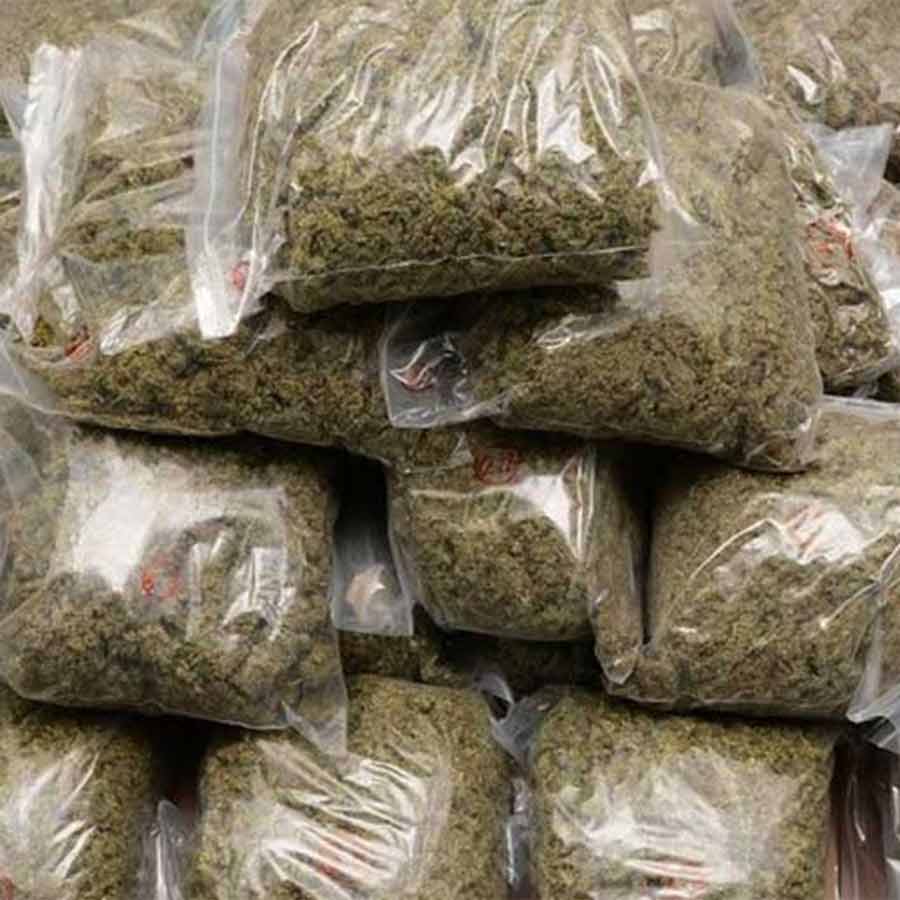35 kg of marijuana in taxi, 4 including driver arrested in Bhangar area