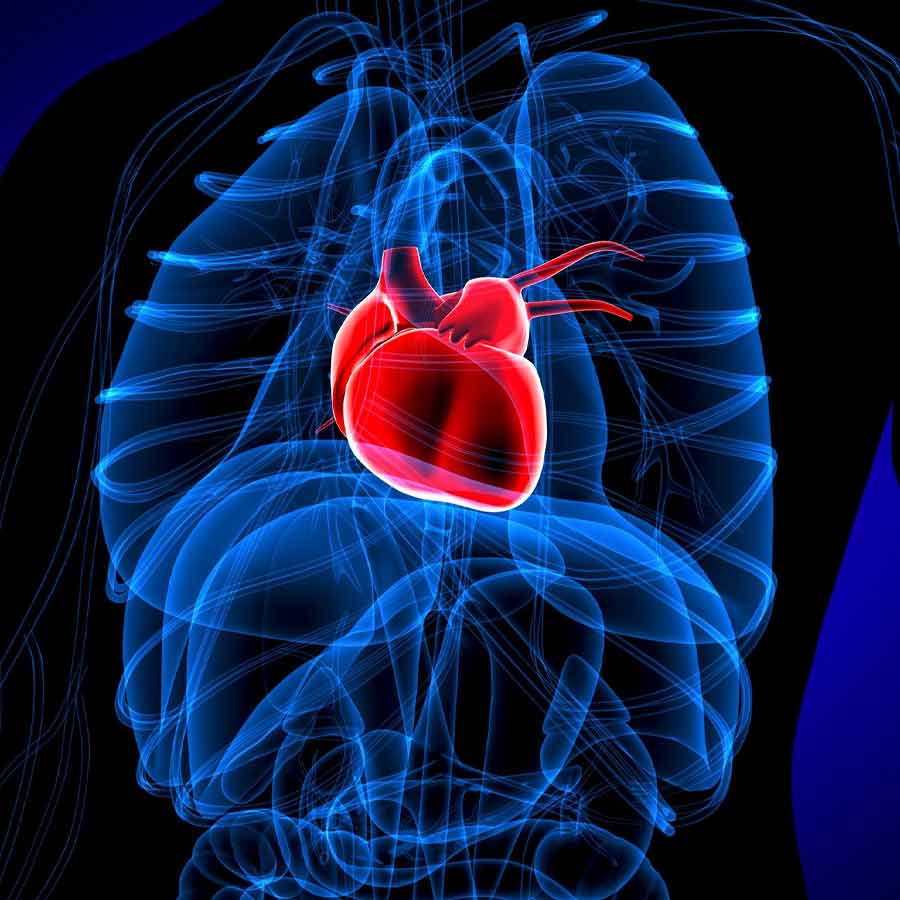 A private Hospital of Kolkata successfully operated a rare heart disorder of a 9 years old boy