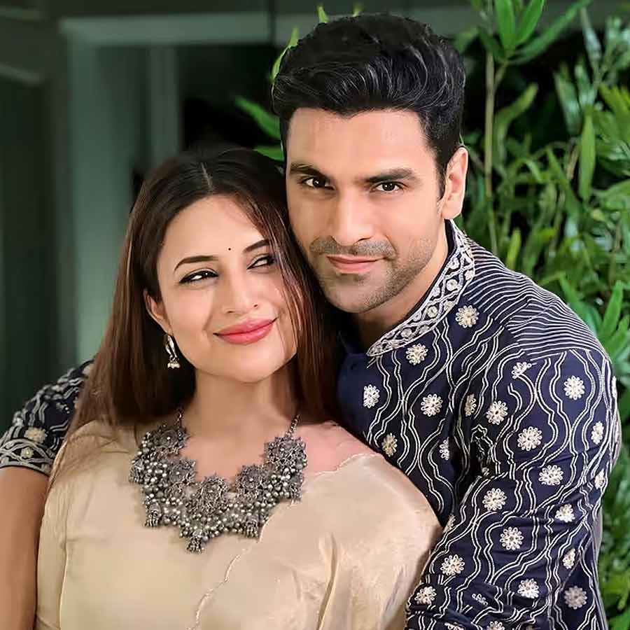 Divyanka Tripathi and Vivek Dahiya are packing dehydrated foods, which are these dgtl