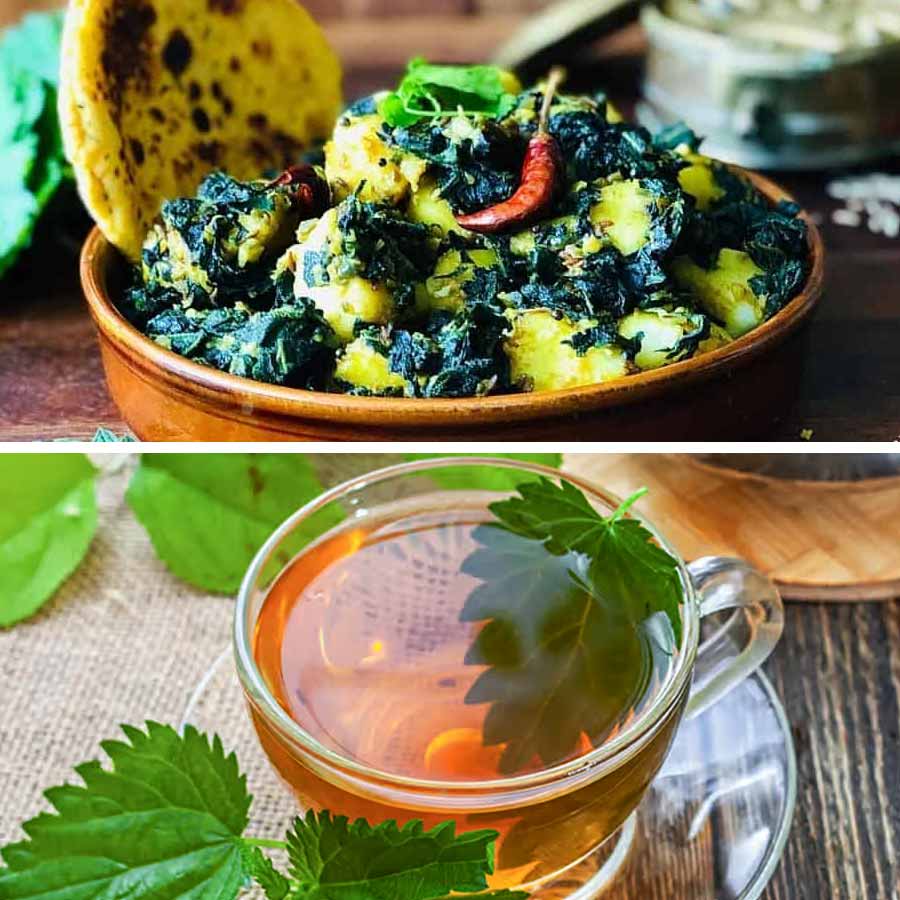 নানা ভাবে বিছুটি পাতা খাওয়ার চল রয়েছে।