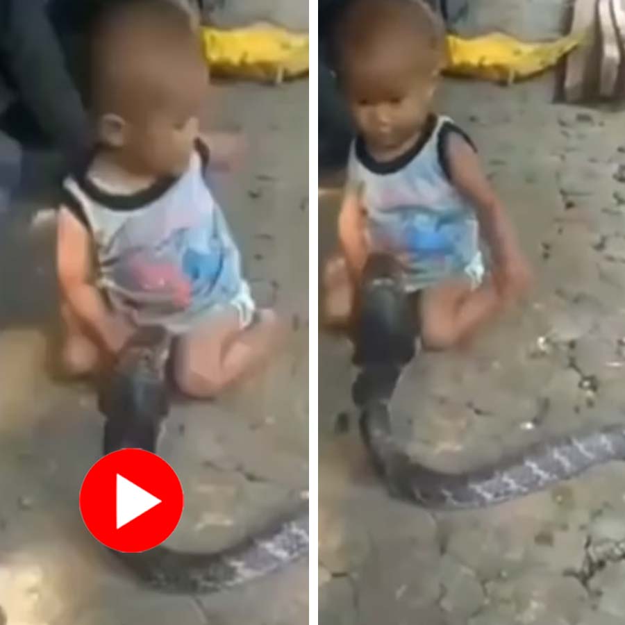 Video of a kid playing with a huge snake goes viral dgtl
