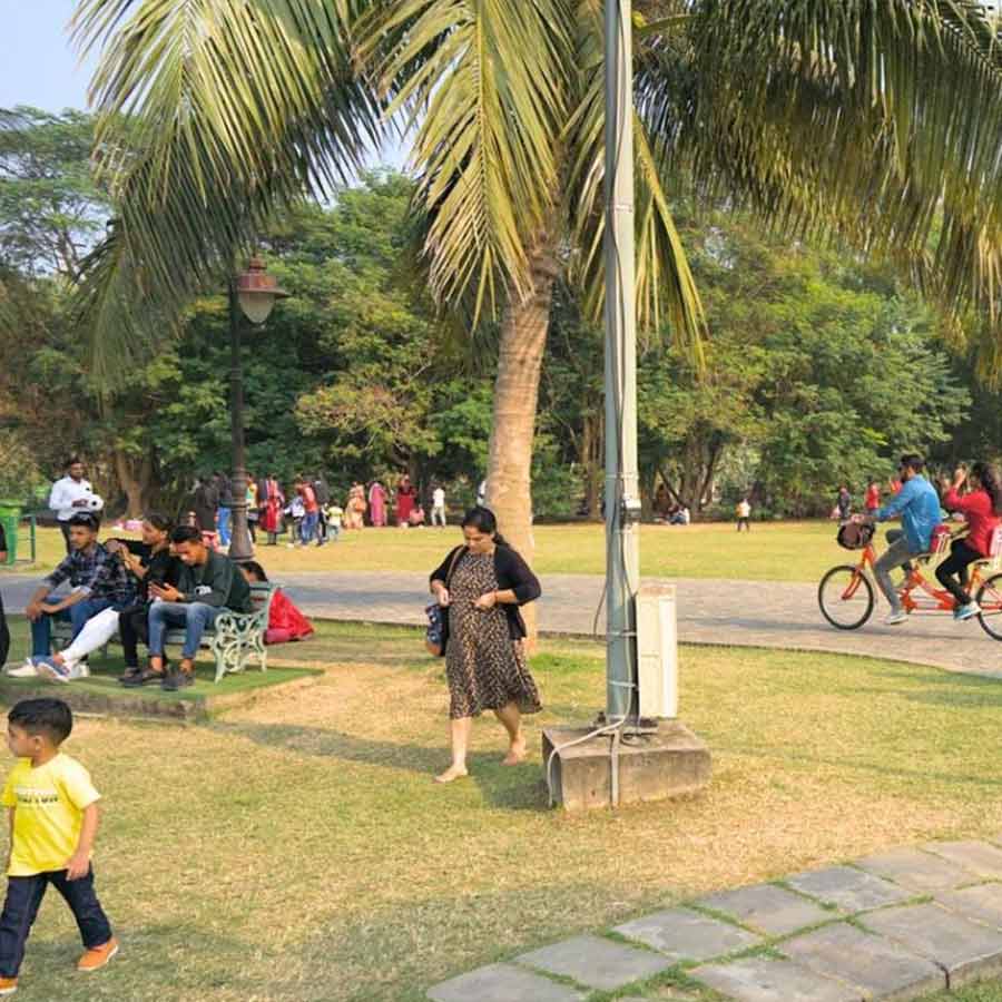 The number of parks is increasing, the number of grounds is decreasing