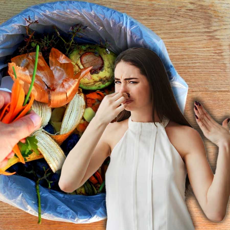 What not to compost in Indian homes and know the dos and dont’s dgtl