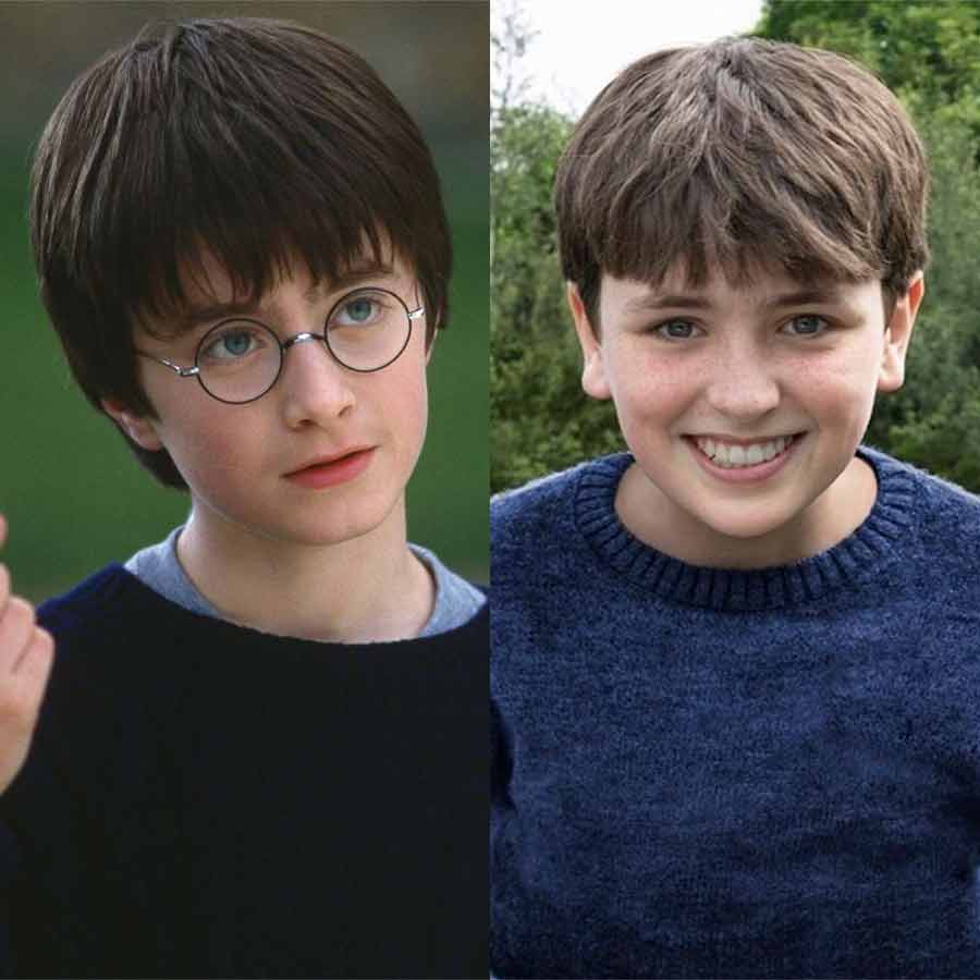 Dominic McLaughlin as Harry Potter