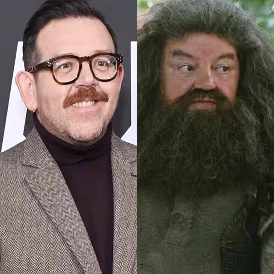 Nick Frost as Rubeus Hagrid