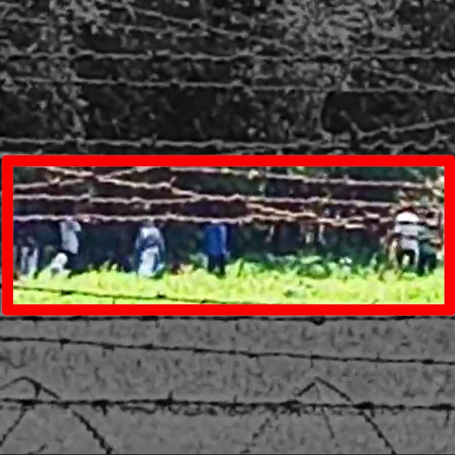 BSF stops Bangladeshi infiltration through two borders in North Bengal dgtld