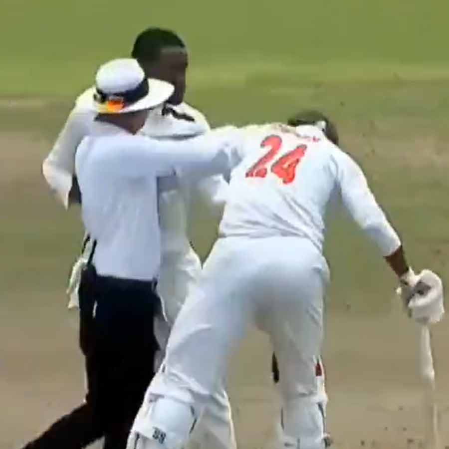 picture of cricket