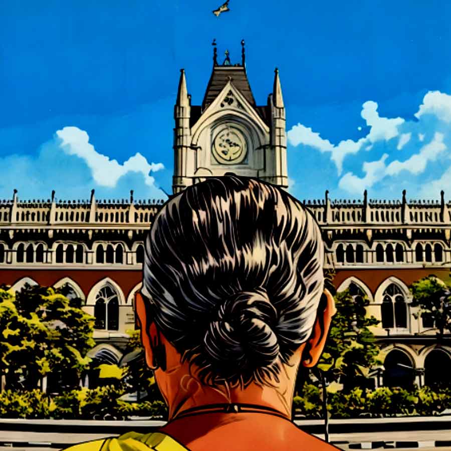 Woman from Bardhaman afraid of electricity cut off goes to Calcutta High Court dgtl